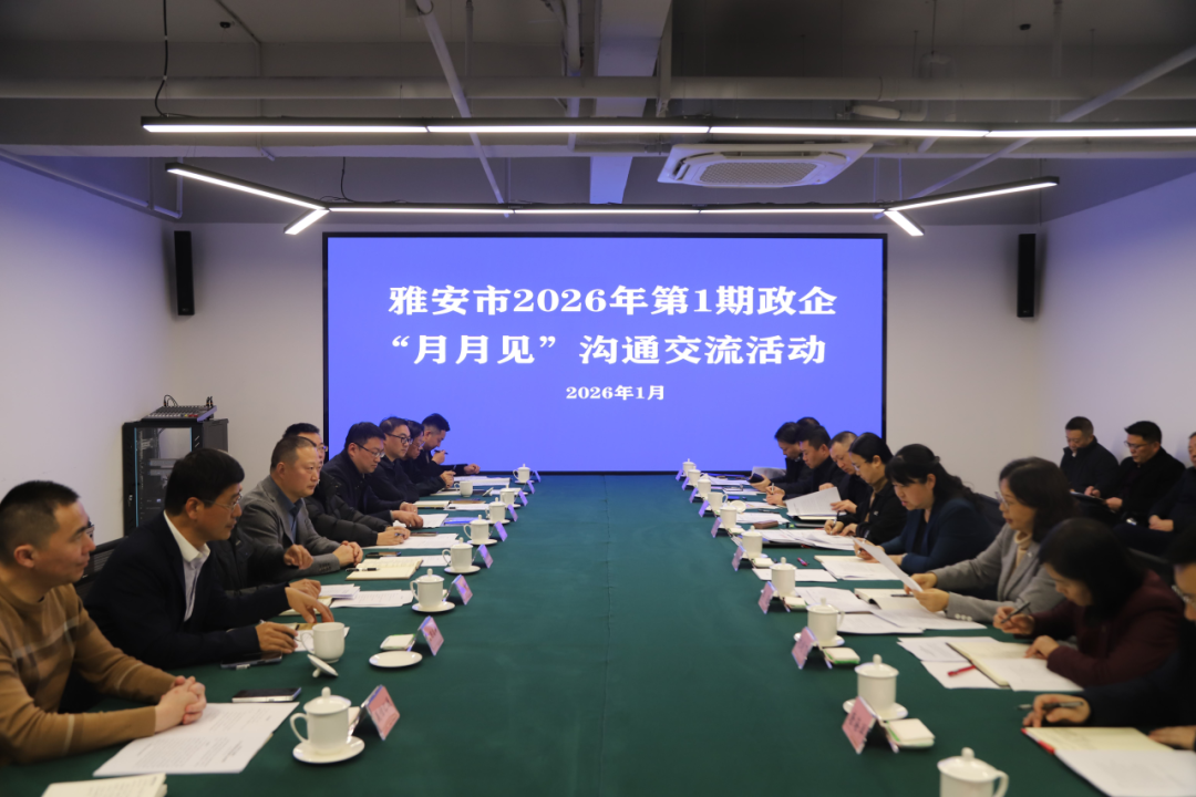 政企同心共奋进 创优环境促发展 | 雅安市2026年第1期政企“月月见”沟通交流活动举行